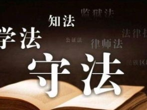 深圳免費法律咨詢指南 專業(yè)知識產(chǎn)權(quán)、商務(wù)糾紛與婚姻家庭關(guān)系解析